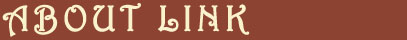 ABOUT LINK