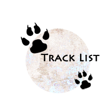 track